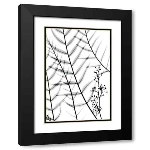 California Pepper Tree Black Modern Wood Framed Art Print with Double Matting by Koetsier, Albert