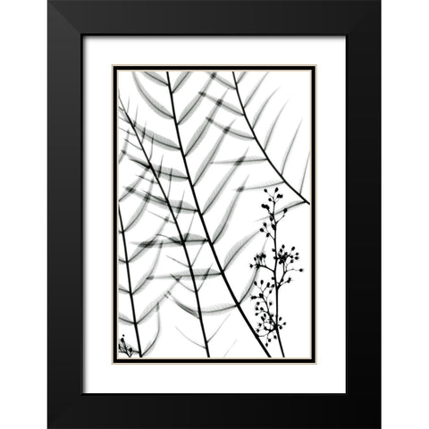 California Pepper Tree Black Modern Wood Framed Art Print with Double Matting by Koetsier, Albert