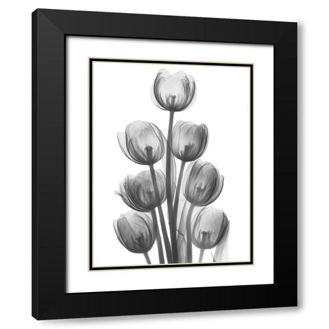 Tulips H26 Black Modern Wood Framed Art Print with Double Matting by Koetsier, Albert