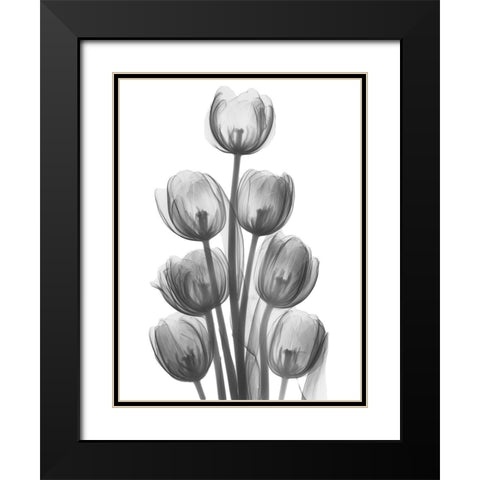 Tulips H26 Black Modern Wood Framed Art Print with Double Matting by Koetsier, Albert