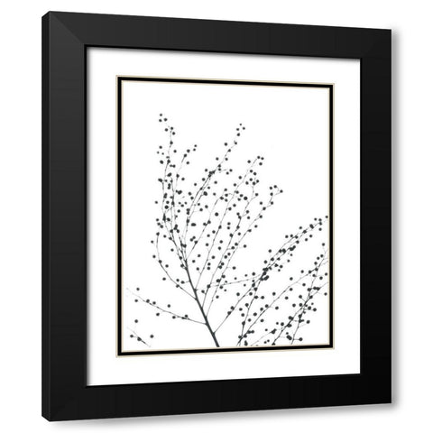 Pretty And Delicate Black Modern Wood Framed Art Print with Double Matting by Koetsier, Albert