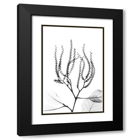 Reaching Branches Black Modern Wood Framed Art Print with Double Matting by Koetsier, Albert