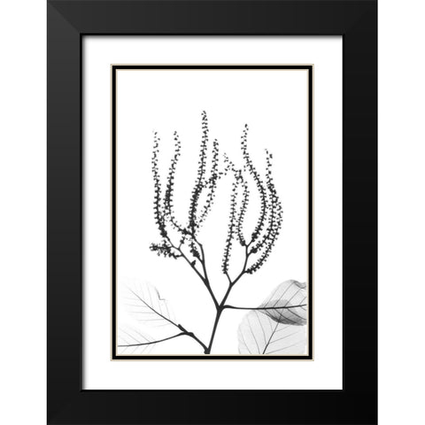 Reaching Branches Black Modern Wood Framed Art Print with Double Matting by Koetsier, Albert