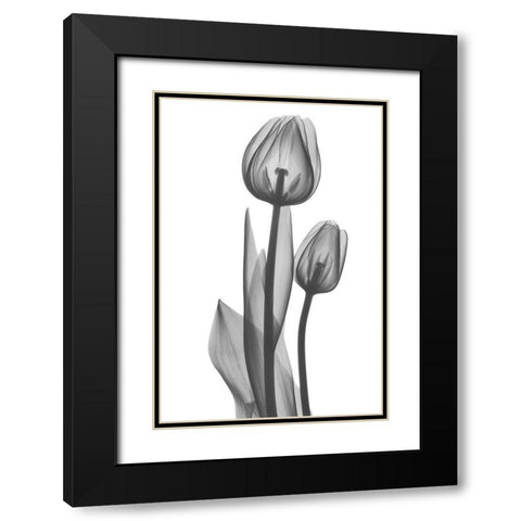 Coupled Friends Black Modern Wood Framed Art Print with Double Matting by Koetsier, Albert