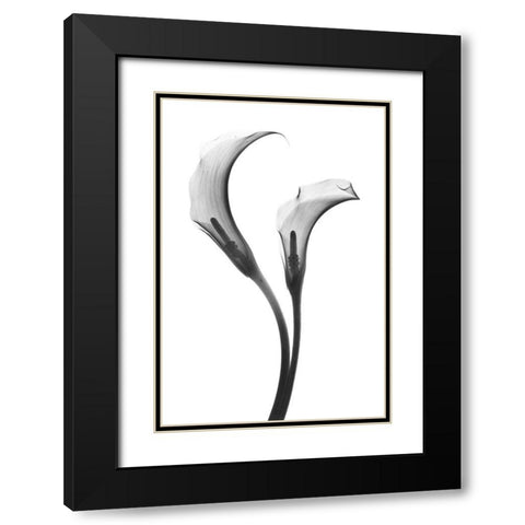 Growing Apart Black Modern Wood Framed Art Print with Double Matting by Koetsier, Albert