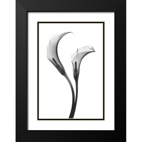 Growing Apart Black Modern Wood Framed Art Print with Double Matting by Koetsier, Albert