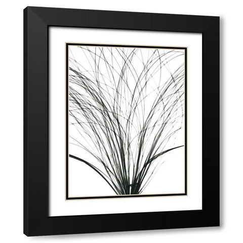 Frayed Soul Black Modern Wood Framed Art Print with Double Matting by Koetsier, Albert