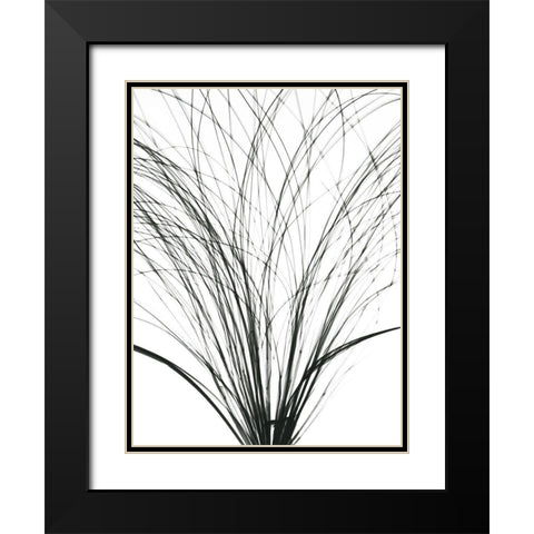 Frayed Soul Black Modern Wood Framed Art Print with Double Matting by Koetsier, Albert