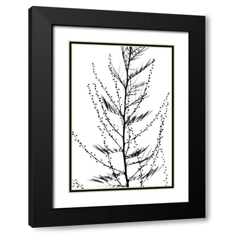 Accasia Black Modern Wood Framed Art Print with Double Matting by Koetsier, Albert