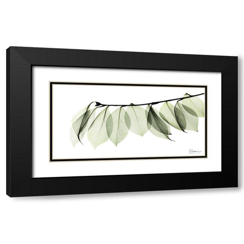 Camelia Leaf In White Black Modern Wood Framed Art Print with Double Matting by Koetsier, Albert