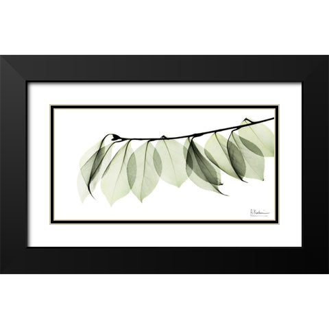 Camelia Leaf In White Black Modern Wood Framed Art Print with Double Matting by Koetsier, Albert