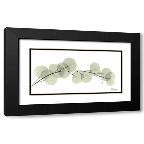 Eucalyptus L196 Black Modern Wood Framed Art Print with Double Matting by Koetsier, Albert