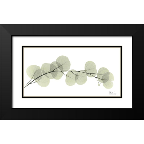 Eucalyptus L196 Black Modern Wood Framed Art Print with Double Matting by Koetsier, Albert