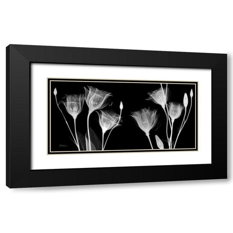 BW Gentian Black Modern Wood Framed Art Print with Double Matting by Koetsier, Albert