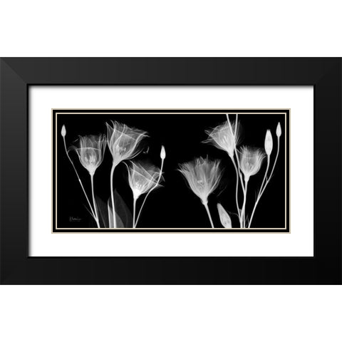 BW Gentian Black Modern Wood Framed Art Print with Double Matting by Koetsier, Albert