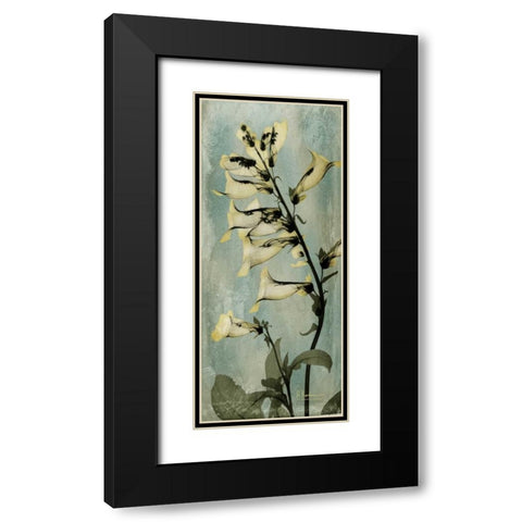 Golden Foxglove Black Modern Wood Framed Art Print with Double Matting by Koetsier, Albert