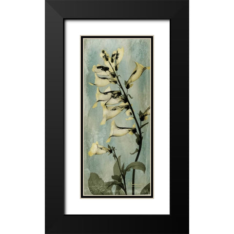 Golden Foxglove Black Modern Wood Framed Art Print with Double Matting by Koetsier, Albert