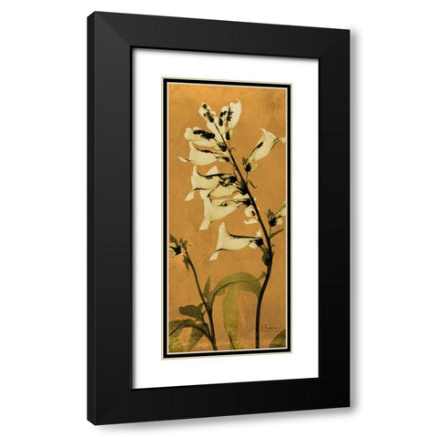 Golden Foxglove Black Modern Wood Framed Art Print with Double Matting by Koetsier, Albert