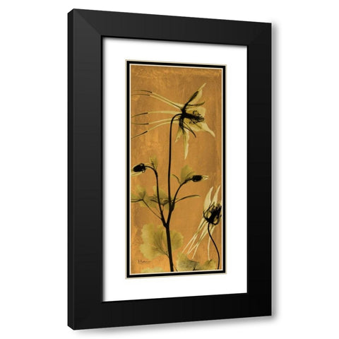 Columbine Black Modern Wood Framed Art Print with Double Matting by Koetsier, Albert