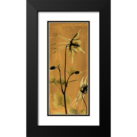 Columbine Black Modern Wood Framed Art Print with Double Matting by Koetsier, Albert