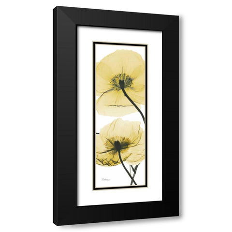 Iceland Poppy Yellow Black Modern Wood Framed Art Print with Double Matting by Koetsier, Albert