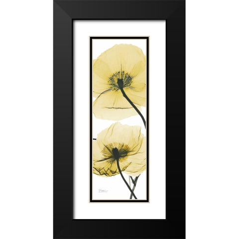 Iceland Poppy Yellow Black Modern Wood Framed Art Print with Double Matting by Koetsier, Albert