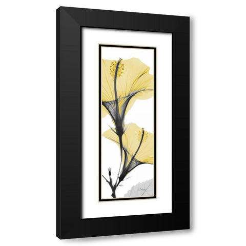 Hibiscus Yellow Black Modern Wood Framed Art Print with Double Matting by Koetsier, Albert