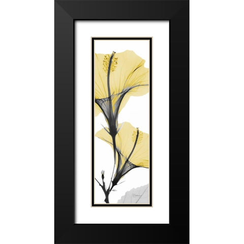 Hibiscus Yellow Black Modern Wood Framed Art Print with Double Matting by Koetsier, Albert