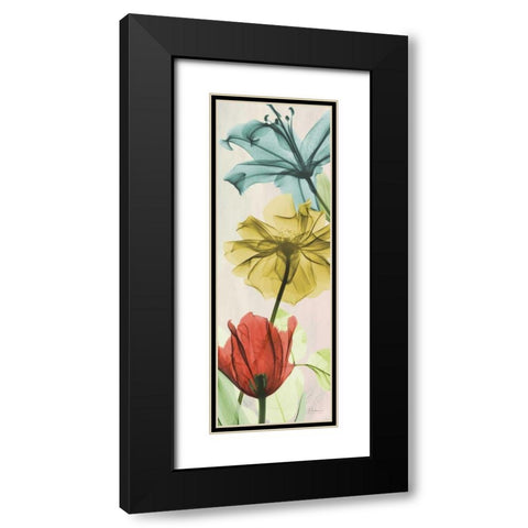 New Avalon VII Black Modern Wood Framed Art Print with Double Matting by Koetsier, Albert