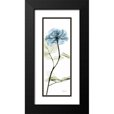 Long Blue Rose Black Modern Wood Framed Art Print with Double Matting by Koetsier, Albert