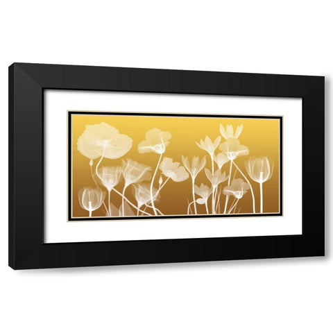 Transparent Flora Black Modern Wood Framed Art Print with Double Matting by Koetsier, Albert