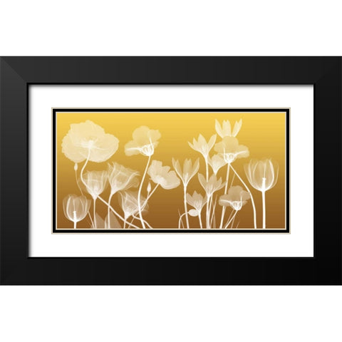 Transparent Flora Black Modern Wood Framed Art Print with Double Matting by Koetsier, Albert