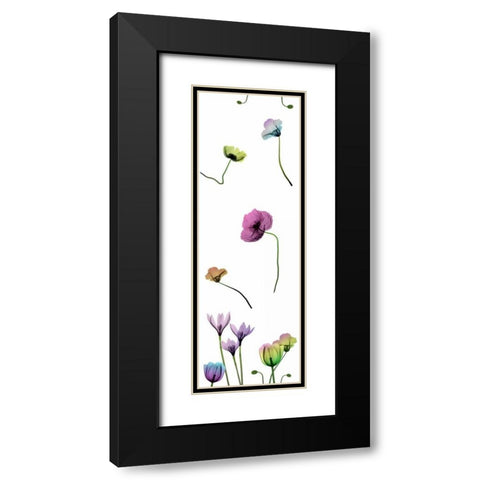 Floral Rainbow Pattern Black Modern Wood Framed Art Print with Double Matting by Koetsier, Albert