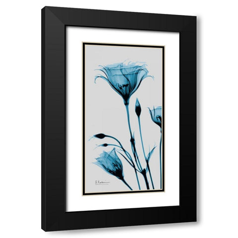 Blue Gentian Black Modern Wood Framed Art Print with Double Matting by Koetsier, Albert