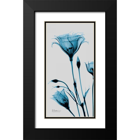 Blue Gentian Black Modern Wood Framed Art Print with Double Matting by Koetsier, Albert