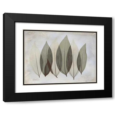 Coculus Leaf L348 Black Modern Wood Framed Art Print with Double Matting by Koetsier, Albert