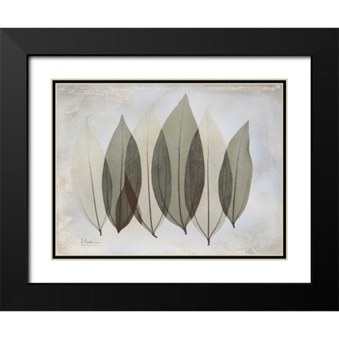 Coculus Leaf L348 Black Modern Wood Framed Art Print with Double Matting by Koetsier, Albert