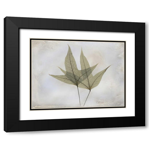 Trident Maple E217 Black Modern Wood Framed Art Print with Double Matting by Koetsier, Albert