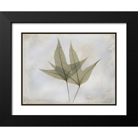 Trident Maple E217 Black Modern Wood Framed Art Print with Double Matting by Koetsier, Albert