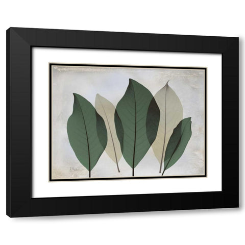 The Grays 3 Black Modern Wood Framed Art Print with Double Matting by Koetsier, Albert