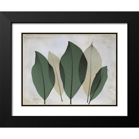 The Grays 3 Black Modern Wood Framed Art Print with Double Matting by Koetsier, Albert