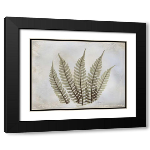 Fern Black Modern Wood Framed Art Print with Double Matting by Koetsier, Albert