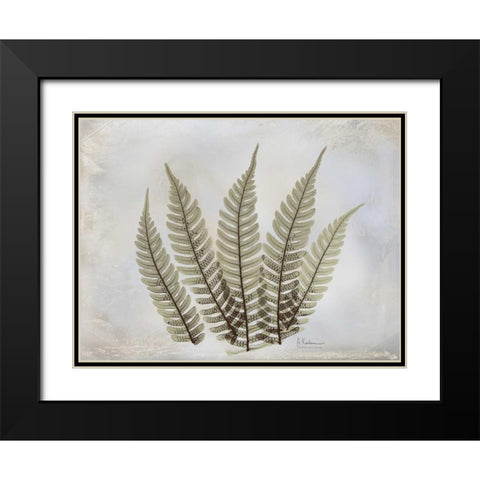 Fern Black Modern Wood Framed Art Print with Double Matting by Koetsier, Albert