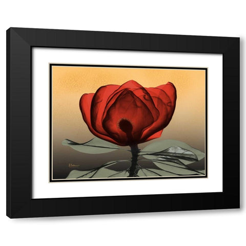 Hot Magnolia 2 Black Modern Wood Framed Art Print with Double Matting by Koetsier, Albert