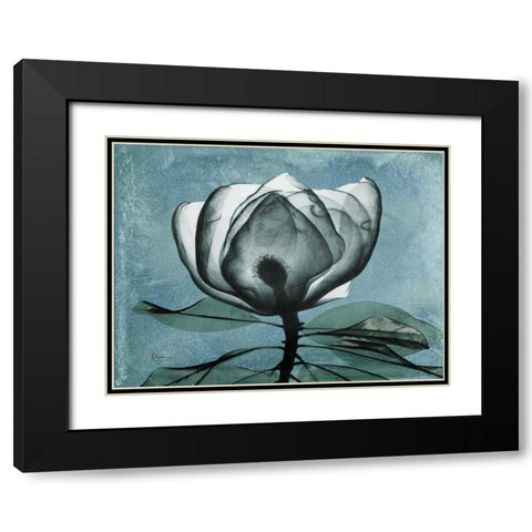 Magnolia Blues 2 Black Modern Wood Framed Art Print with Double Matting by Koetsier, Albert