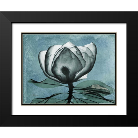 Magnolia Blues 2 Black Modern Wood Framed Art Print with Double Matting by Koetsier, Albert