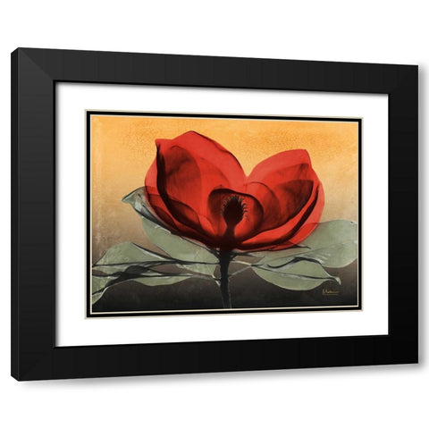 Hot Magnolia 1 Black Modern Wood Framed Art Print with Double Matting by Koetsier, Albert