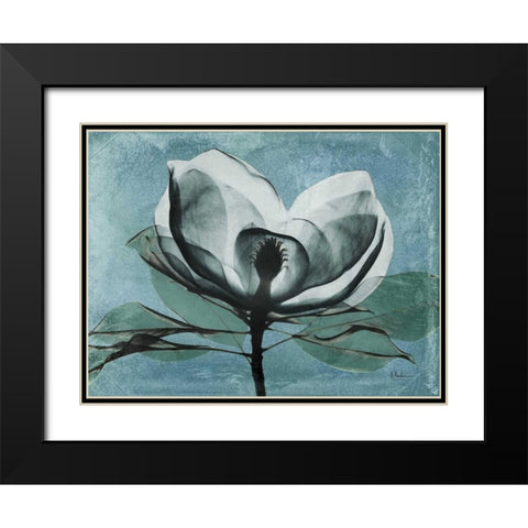 Magnolia Blues 1 Black Modern Wood Framed Art Print with Double Matting by Koetsier, Albert