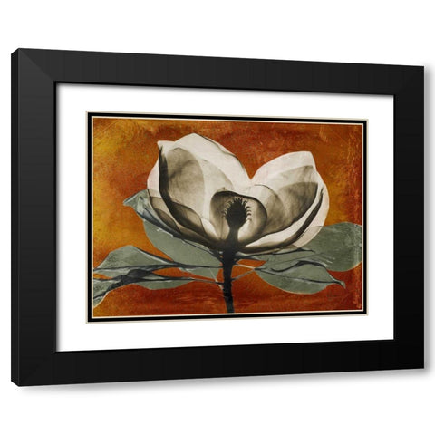 Magnolia Rust 1 Black Modern Wood Framed Art Print with Double Matting by Koetsier, Albert