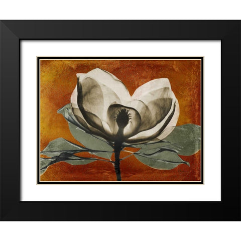 Magnolia Rust 1 Black Modern Wood Framed Art Print with Double Matting by Koetsier, Albert